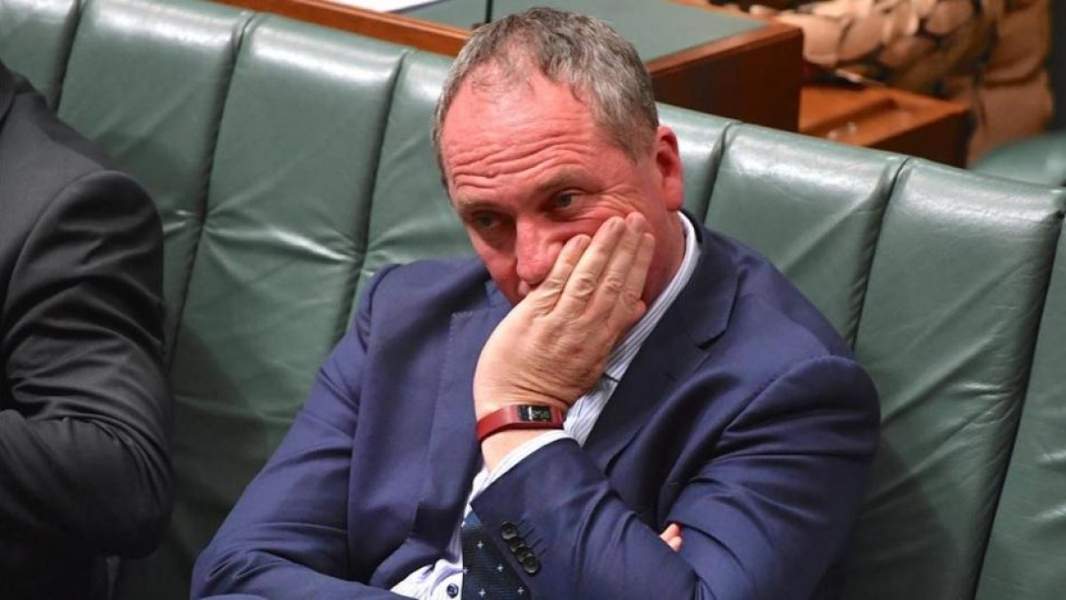 El viceprimer ministro australiano, Barnaby Joyce, en el parlamento.-REUTERS / MICK TSIKAS