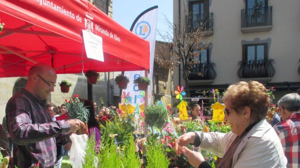 Cientos de mirandeses visitaron la Feria de las Flores.-E. M.