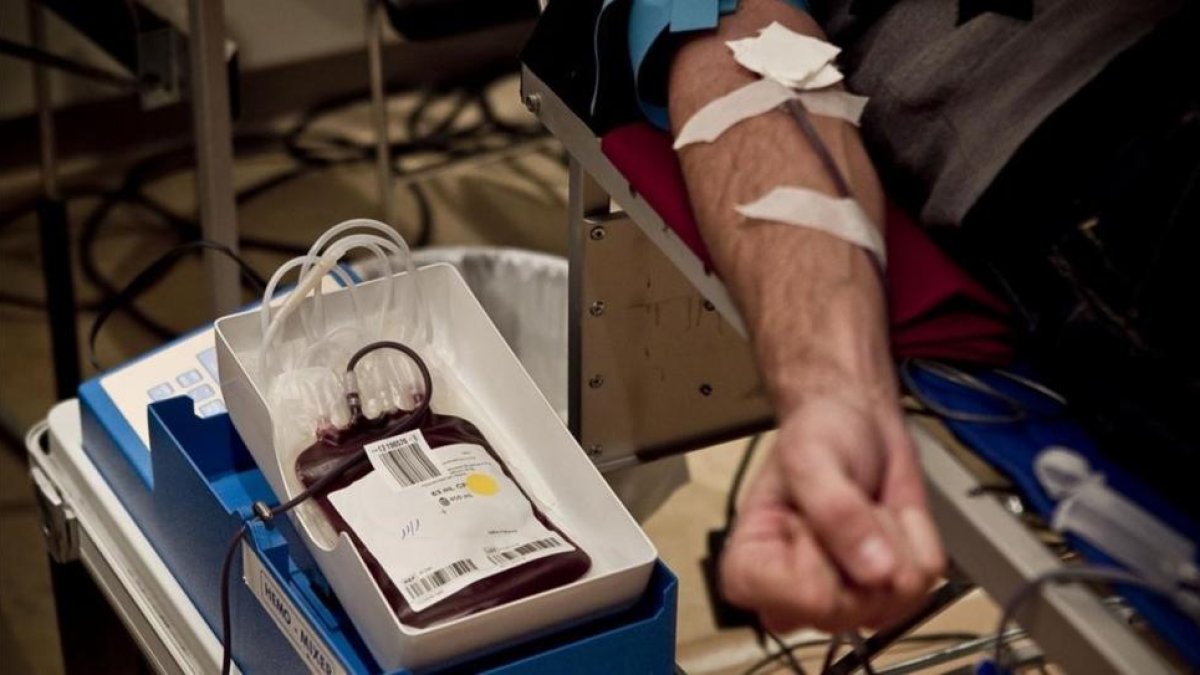 Una persona dona sangre para el Banco de Sangre de Cataluña.-JOAN CORTADELLAS