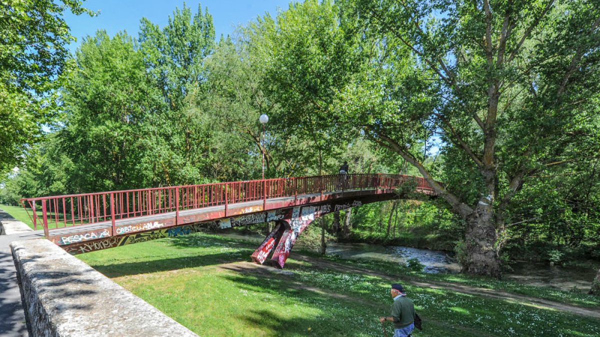 Imagen de la orilla del río Arlanzón. ISRAEL L. MURILLO