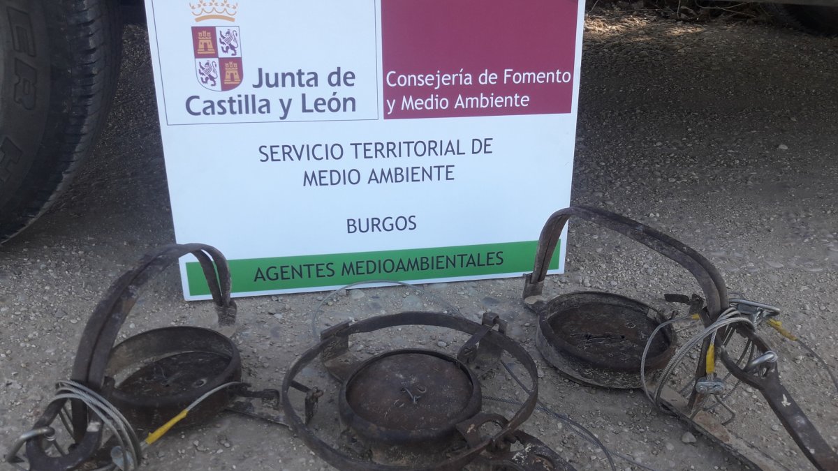Cepos incautados por la Junta. JUNTA DE CASTILLA Y LEÓN