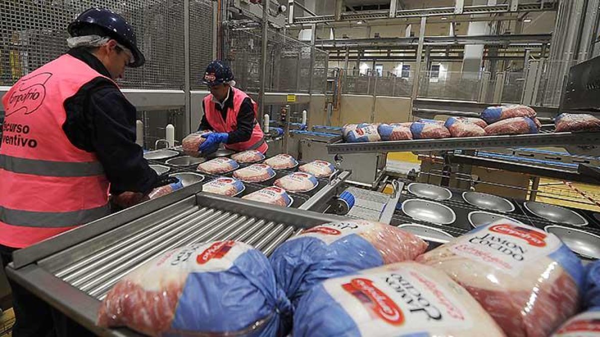 Trabajadores en la fábrica de Campofrío en Burgos. I. L. M.