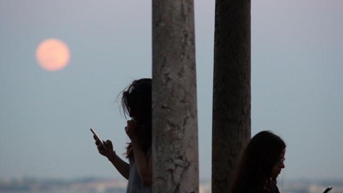 Dos chicas usando su teléfono.-AP