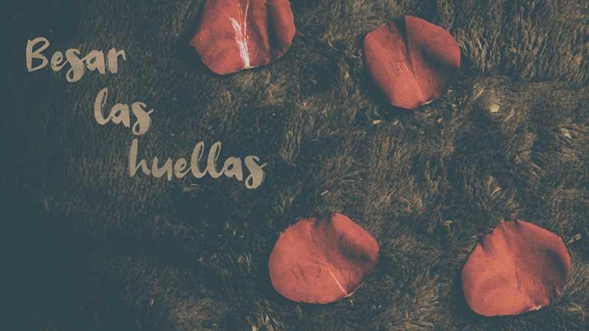 Portada de 'Besar las huellas'. ECB