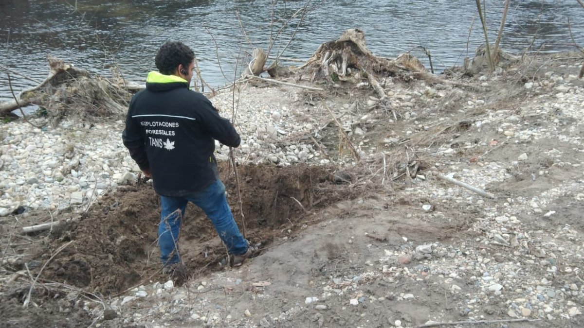 Inicio de la plantación de árboles. CHE