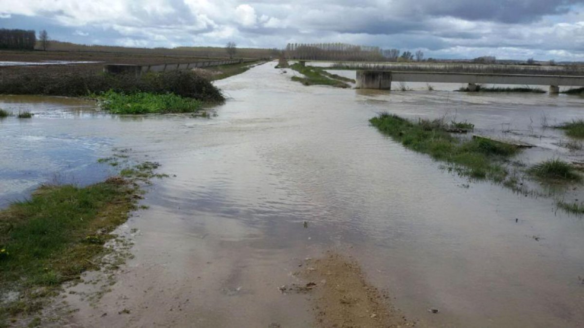 Tierras inundadas por las lluvias en la localidad zamorana de Santa Colomba-ICAL