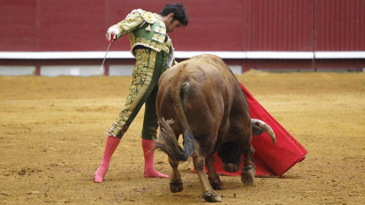 Un caos en toda regla. Una corrida de La Palmosilla infame. Ni presencia, ni juego. Alguien debió pensar que con echar una corrida gorda bastaba. Y no. El encierro estaba musculado y bien comido pero no tenía cara. De muy pobre presencia. Y muy blanda de -SANTI OTERO