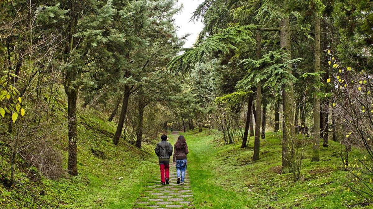 La ‘Ruta del Asedio’ pretende que sus visitantes descubran el «gran atractivo cultural y artístico» que hay en torno al Castillo.-ISRAEL L. MURILLO