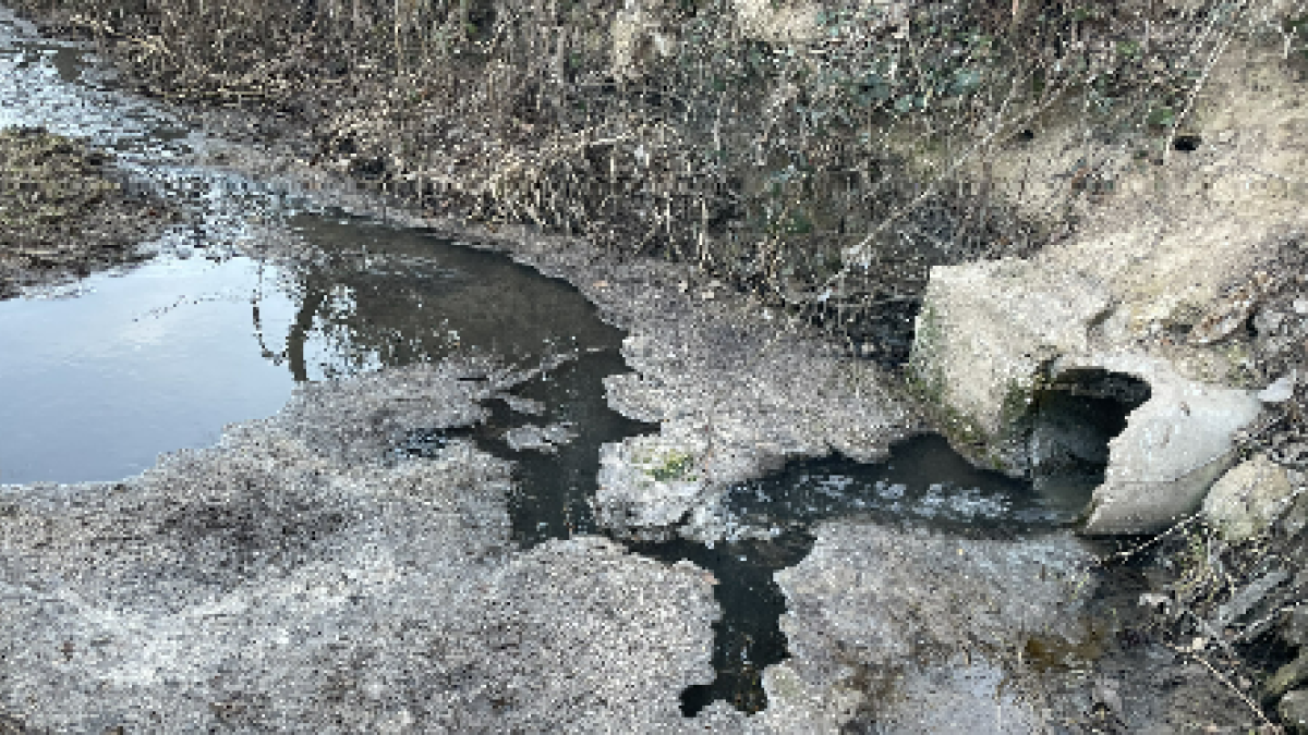 Punto de vertido en Sotillo de la Ribera. ECB