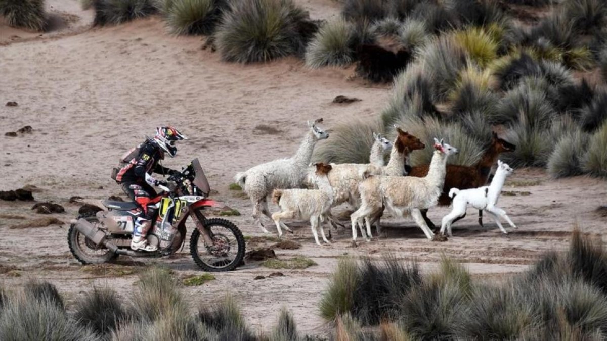 El argentino Diego Martín durante la séptima etapa de la edición de este año del Dakar.-AFP