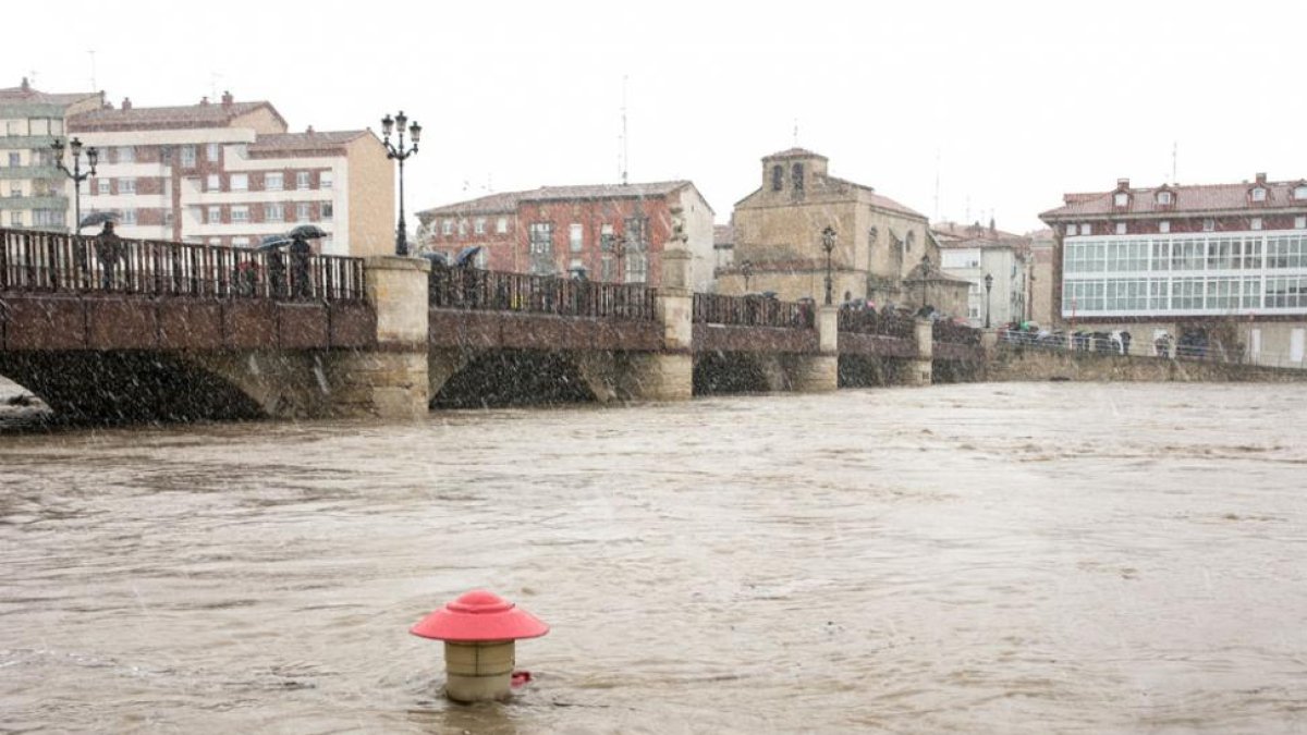 Crecida del río Ebro a su paso por Miranda en enero de 2015, por las intensas lluvias caídas.-MARCO REMÓN