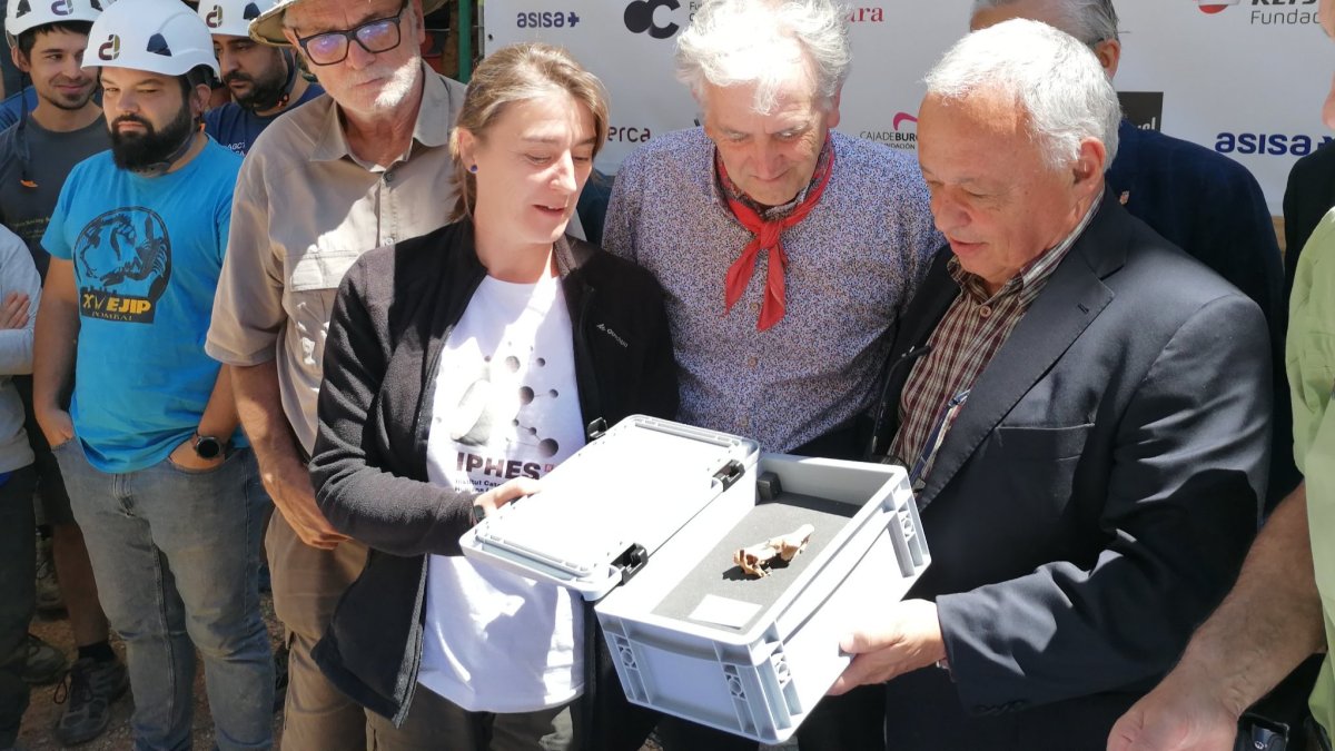 Los últimos en unirse a la Tribu de Atapuerca, la cara del primer europeo forma parte de una de las cinco especies que ha dado Atapuerca en más de 40 años de excavación. SANTI OTERO