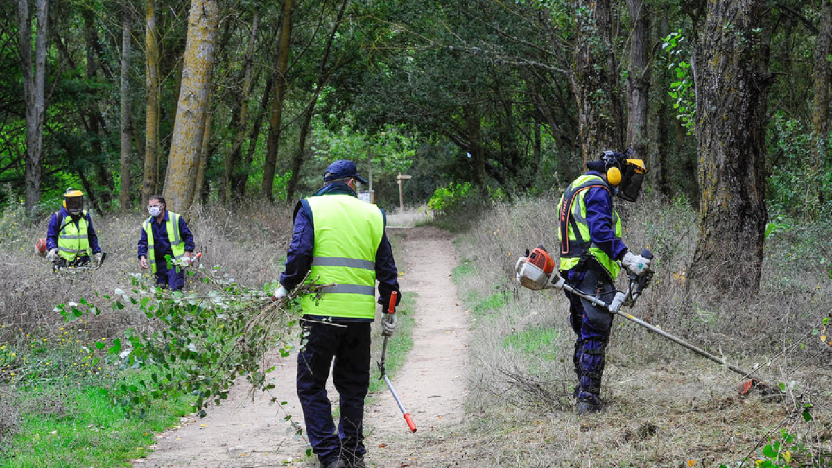 Un grupo de trabajadores en el accesoo al Humedal en una imagen de archivo. ECB
