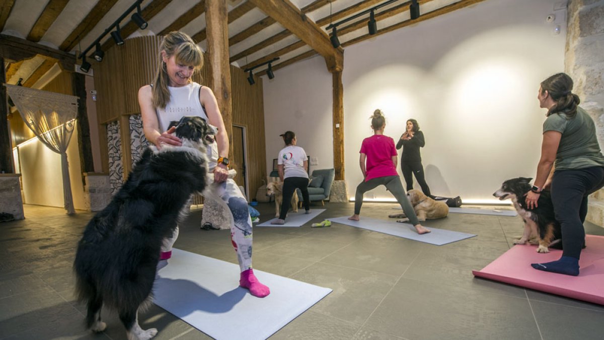 Canes y dueñas disfrutaron ayer de una tarde de ‘doga’ en Urban Yoga Estudio. ISRAEL L. MURILLO