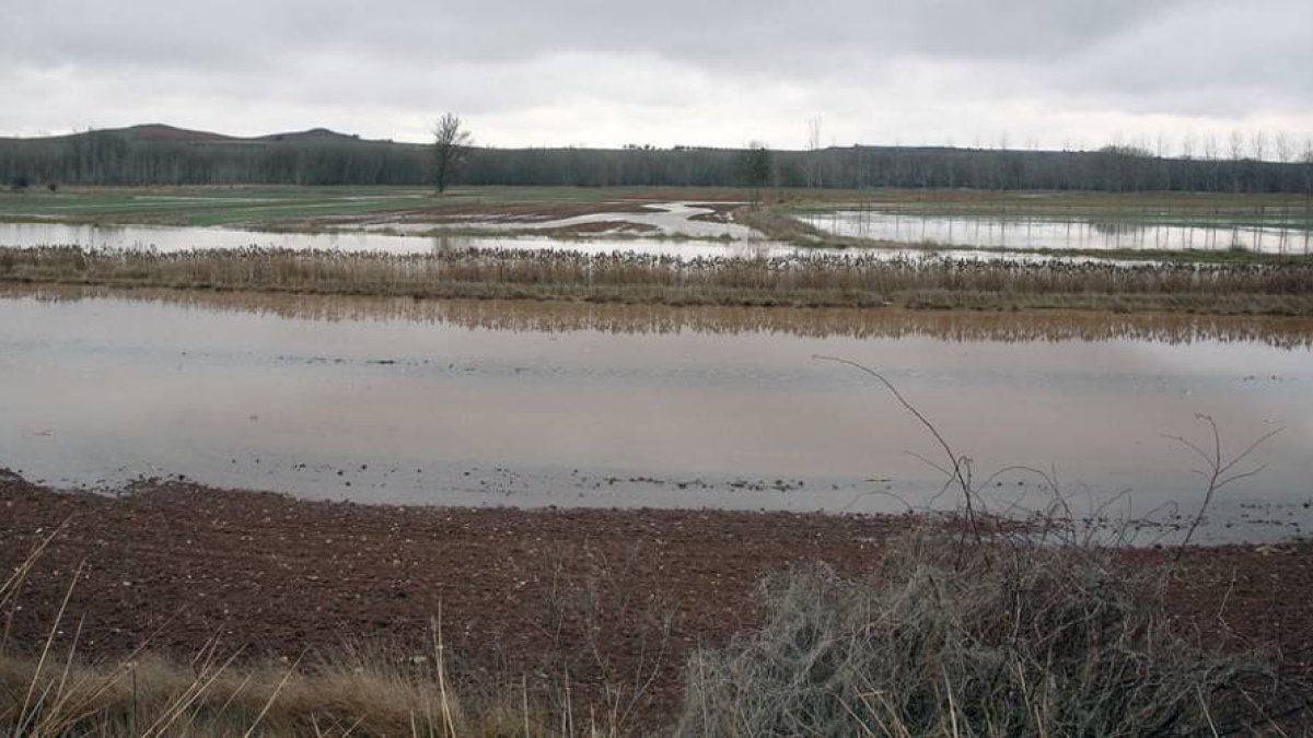 La Vega de Santa Cecilia sufrió pequeñas inundaciones durante la jornada de ayer.-MIGUEL ÁNGEL