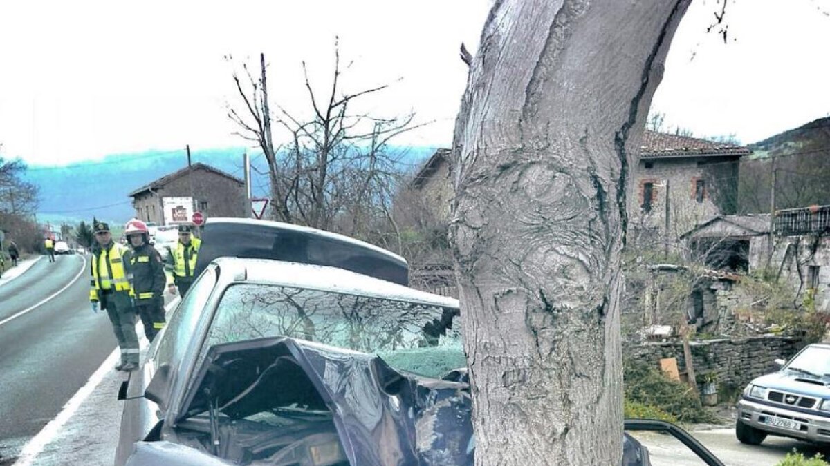 El vehículo acabó estrellado contra un árbol del lateral de la calzada.-ECB