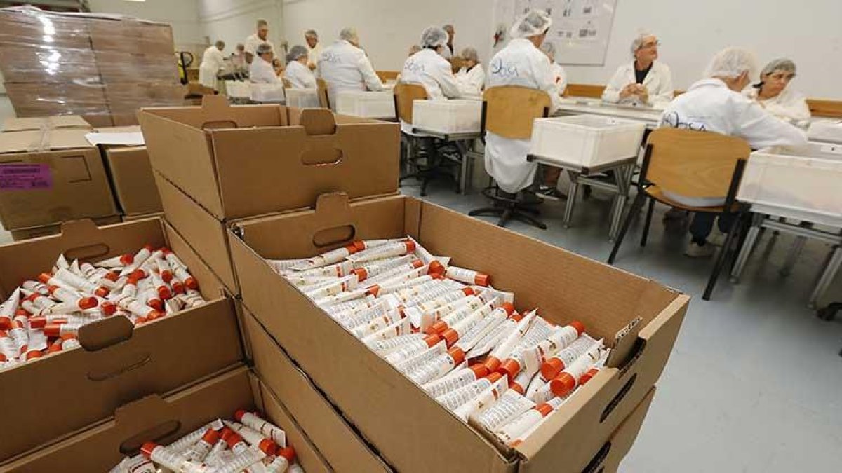 Empleados de Aspanias, durante una jornada de trabajo.