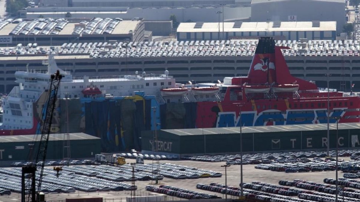 Interior cubre con lonas los dibujos de Piolín en los barcos del puerto-JORDI COTRINA