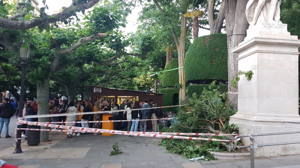 Zona donde cayeron las ramas en el Espolón. ECB