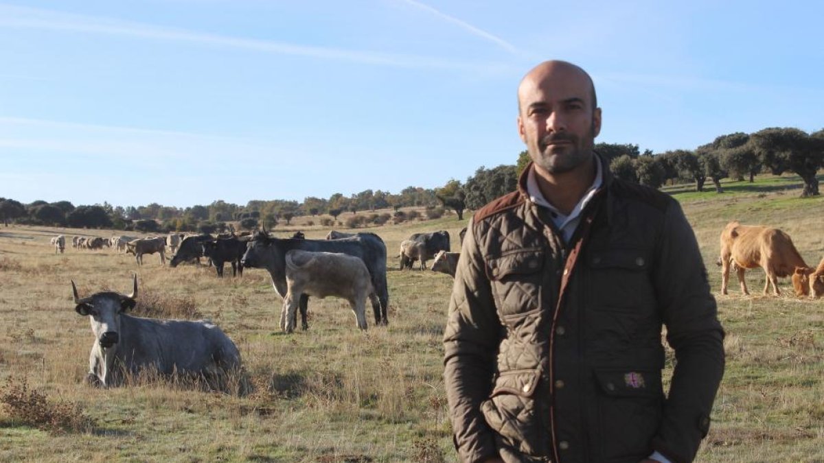 Guillermo Cigüenza, de 34 años, en su explotación situada en el municipio salmantino de Morille.-E.M.