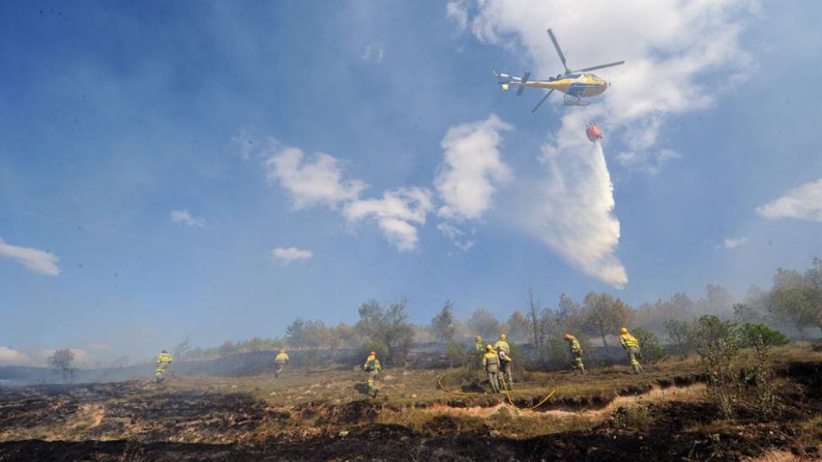 Los agentes forestales atajaron este fuego cerca del pinar de Cótar con la ayuda de bomberos.-ISRAEL L. MURILLO