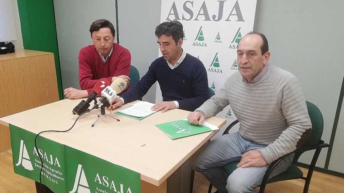 José Daniel Grijalvo, Esteban Martínez y Eliseo Martínez, ayer, en la sede de Asaja en Burgos.-D.S.M.