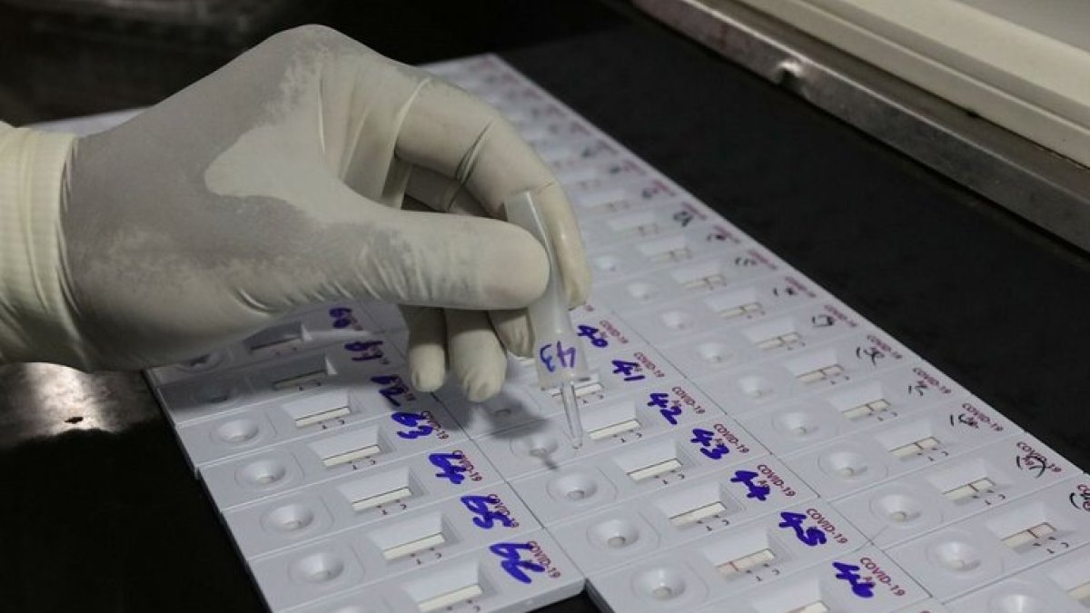 Un profesional sanitario realiza PCRs. ECB