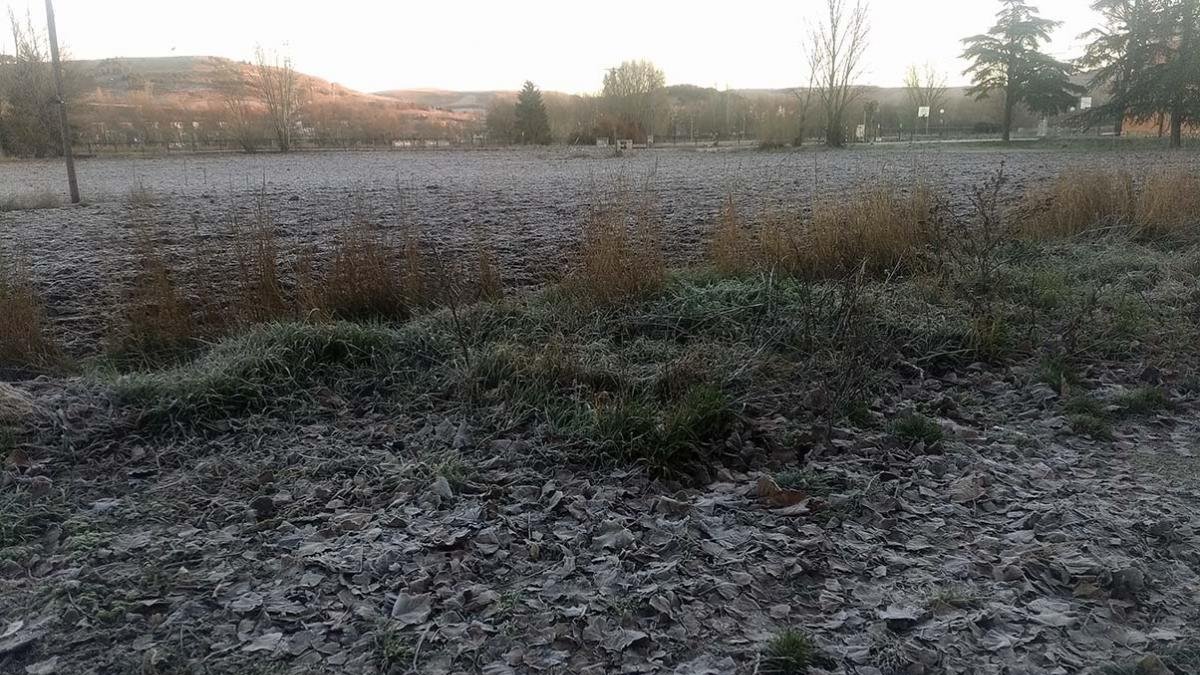Con esta helada sobre los campos se amaneció ayer en el barrio del Pilar de la capital burgalesa.-S. L. C.