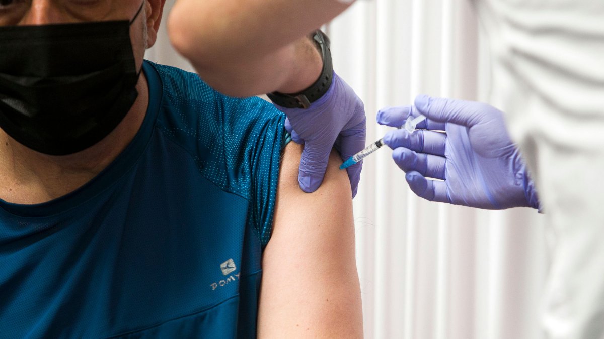 Imagen de una vacunación. TOMÁS ALONSO