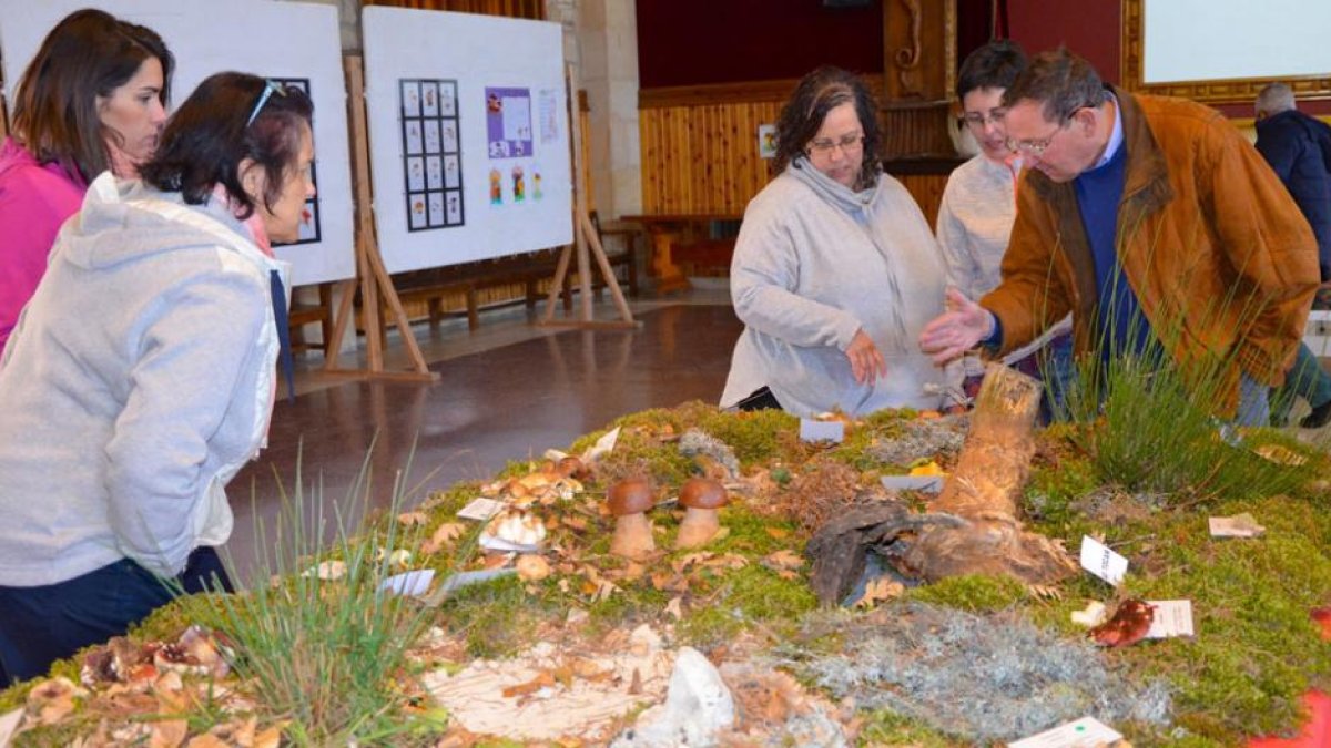 La exposición puede visitarse aún hoy domingo.-R. F.