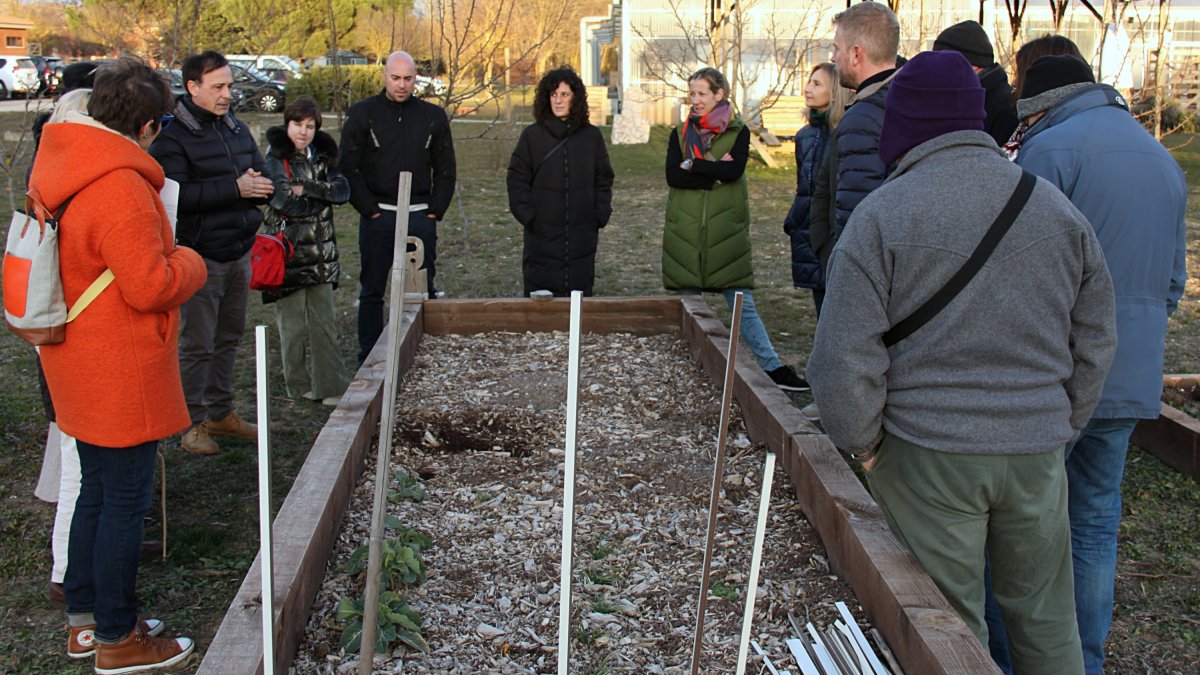 Imagen de uno de los huertos urbanos colaborativos. ECB