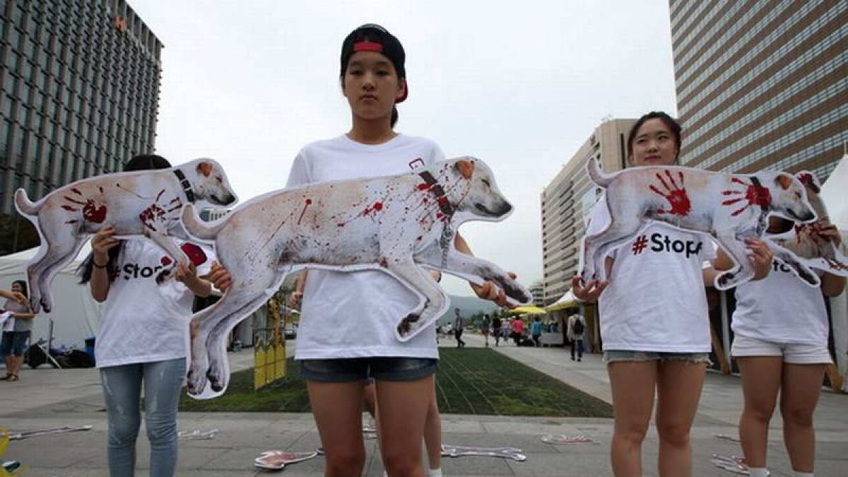 Miembros de la organización surcoreana por los derechos de los animales protestan contra el hábito coreano de comer perros, especialmente en verano.-Foto: JEON HEON-KYUN / EFE