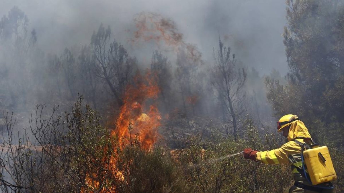 Varias hectareas de monte de pino arrasadas por un incendio en Serradilla del Llano(Salamanca)-Ical