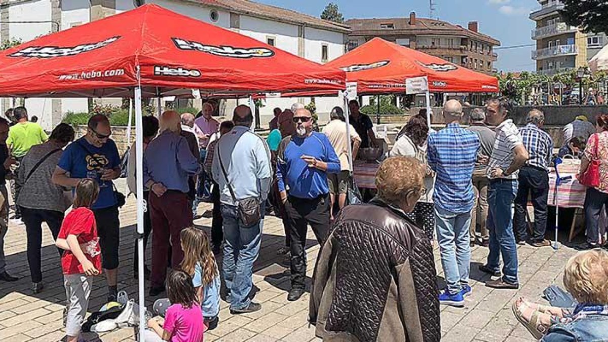 La Asociación de Amigos del Chacolí del Valle de Mena celebró ayer su tradicional cata popular para dar a conocer la añada del año pasado.-ECB