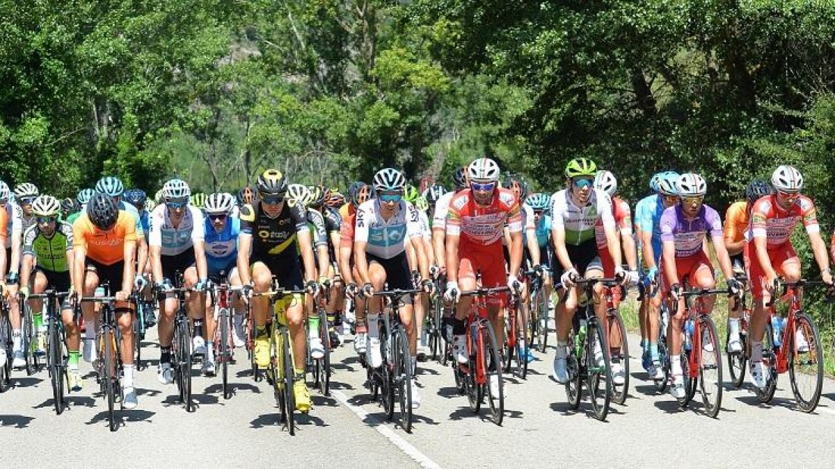 Imagen del pelotón de la Vuelta a Burgos durante una etapa.-RICARDO ORDÓÑEZ