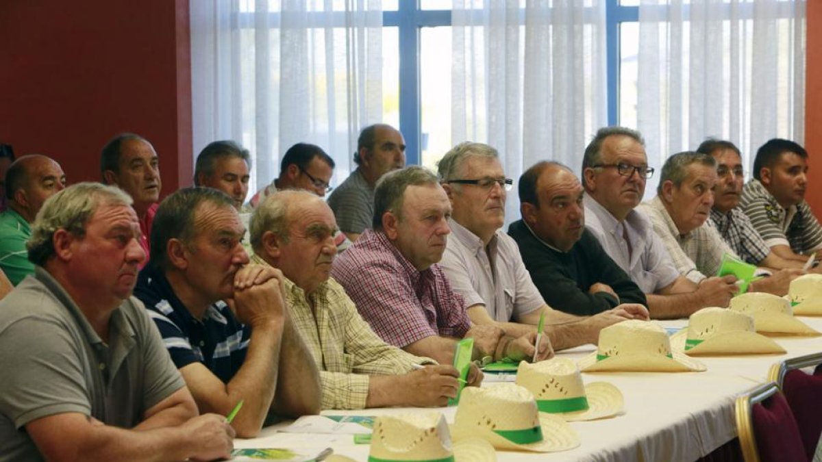 Los técnicos avanzaron a los profesionales algunas pautas sobre las investigaciones realizadas en los campos.-R. O.