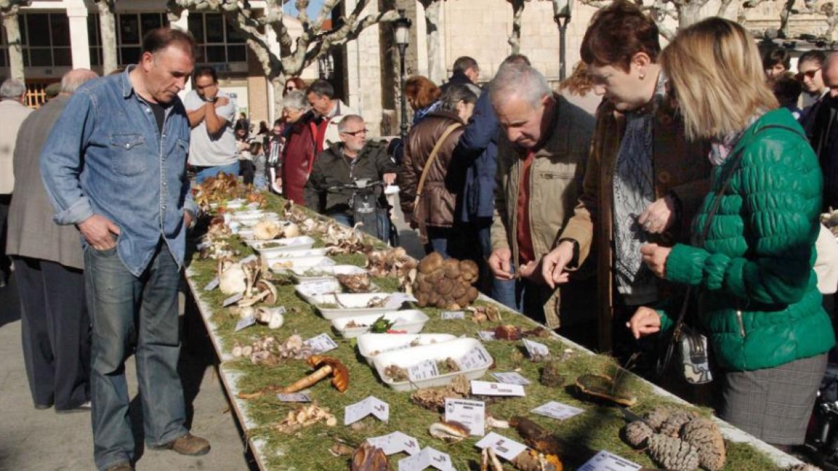 La asociación organiza numerosas exposiciones y muestras.-G. G.
