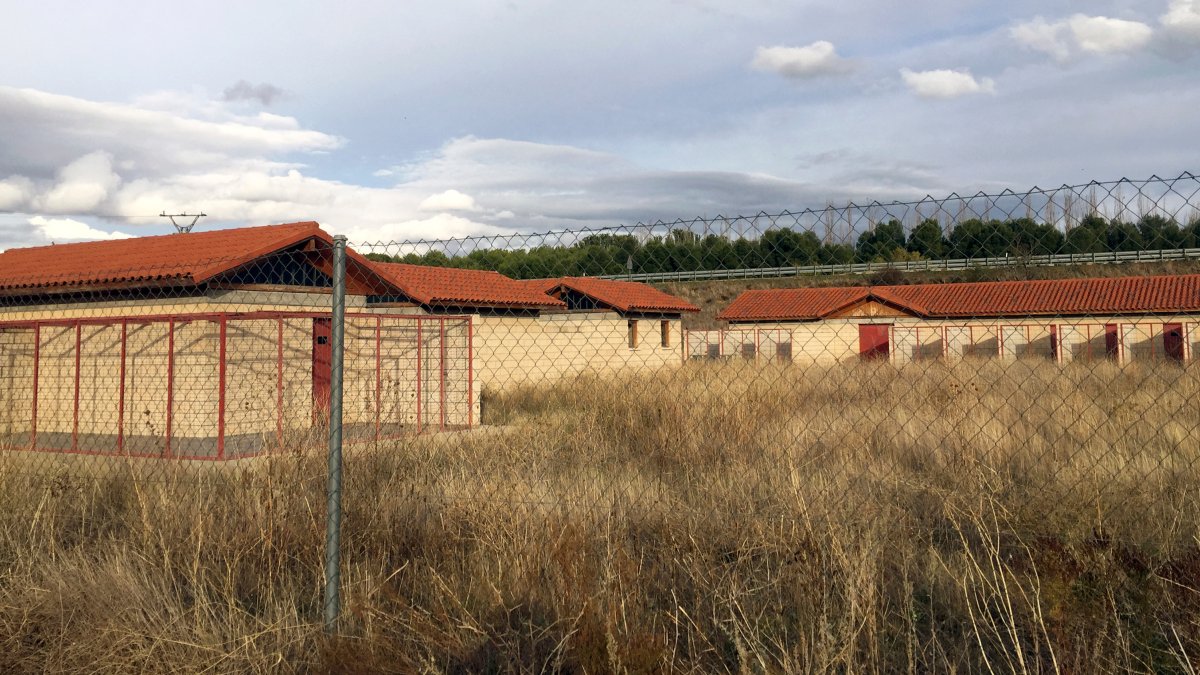 El centro de acogida de animales fue construido en 2010 pero nunca se ha inaugurado. L. V.