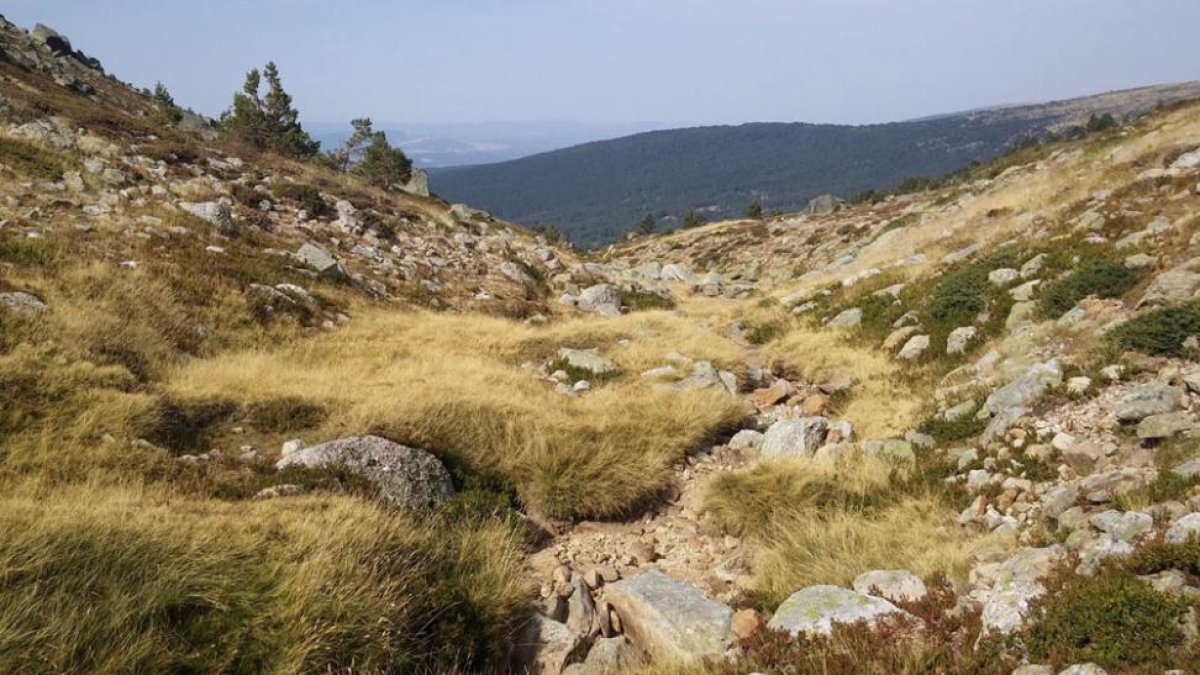 Incluso las fuentes del nacimiento del Duero, que se encuentran a más de 2.100 metros de altura, están ya secas.-A. SANDOVAL