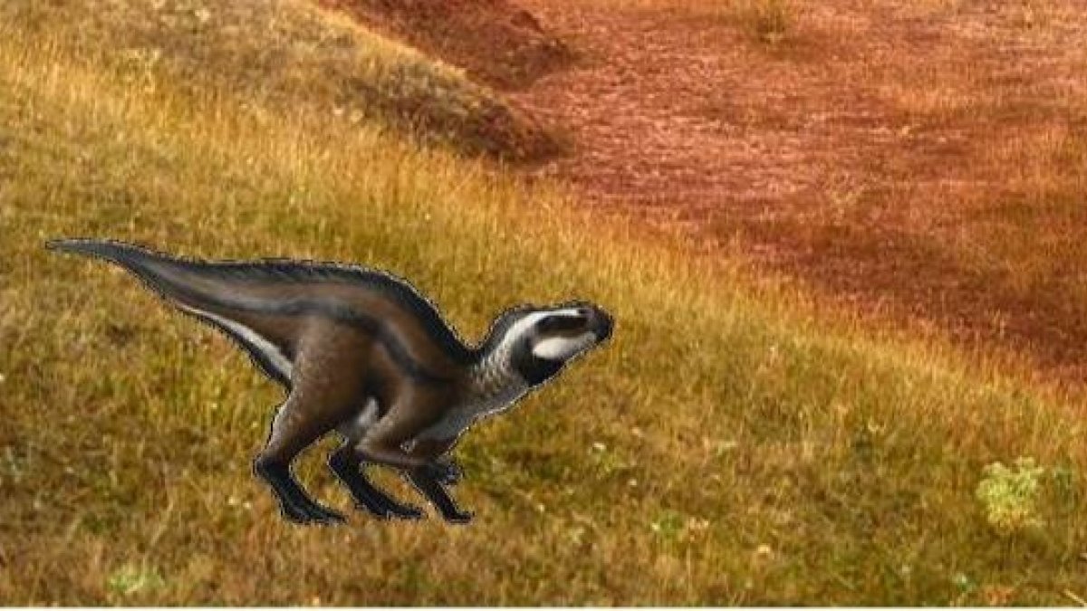 Recreación de Vegagete, el pequeño dinosaurio de Salas que podría pasar por un Fox Terrier.