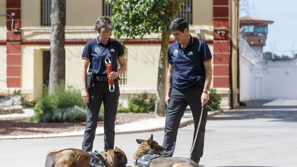 La Unidad Canina de la prisión de Burgos al completo. SANTI OTERO