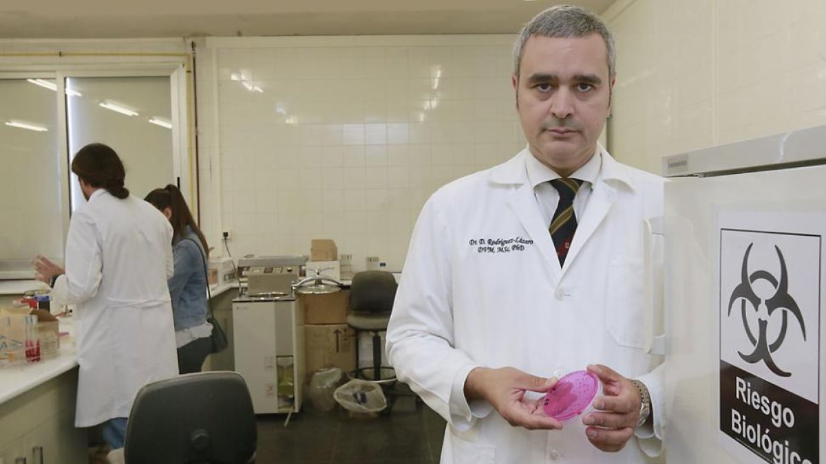 David Rodríguez es el director del Área de Microbiología de la Facultad de Ciencias de la UBU y del grupo de investigación de Microbiología One Health.-RAÚL G. OCHOA