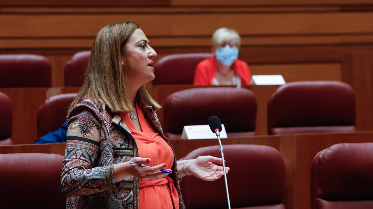 La vicesecretaria del PSCyL, Virginia Barcones, en el Pleno de las Cortes.- JUAN MIGUEL LOSTAU.