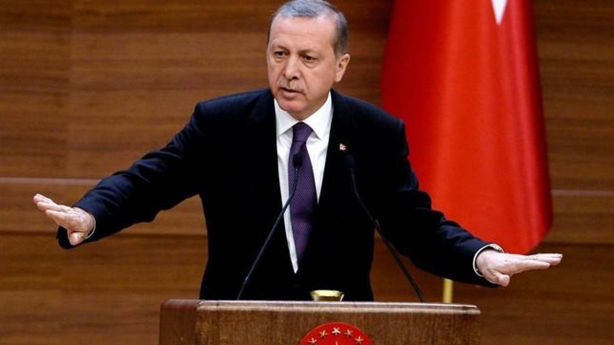 Erdogan, durante su discurso en el palacio presidencial, en Ankara, este miércoles.-AFP / ADEM ALTAN