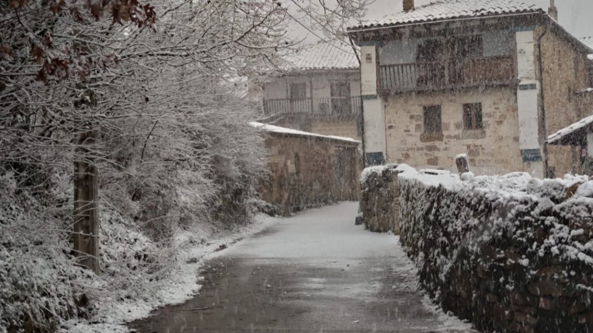 Ailanes de Zamanzas bajo un manto de nieve. ECB
