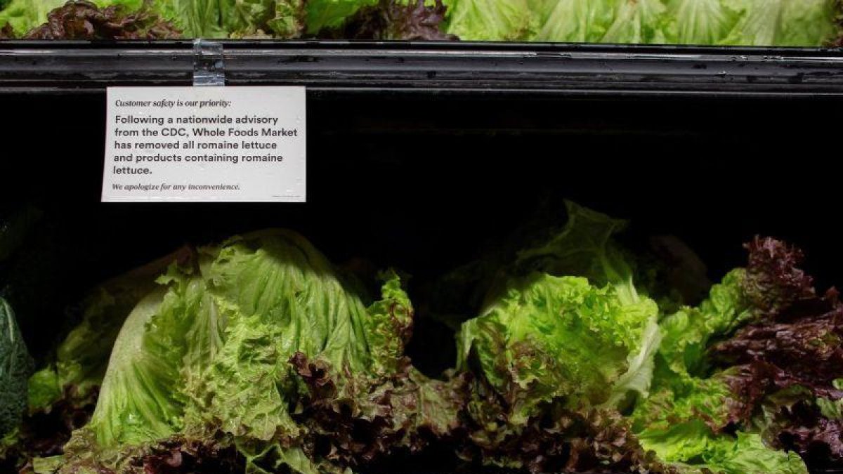 La institución ordenó además el retiro inmediato y la destrucción supervisada de las lechugas procedentes de Estados Unidos que se encuentran a la venta en los comercios panameños.-EPA