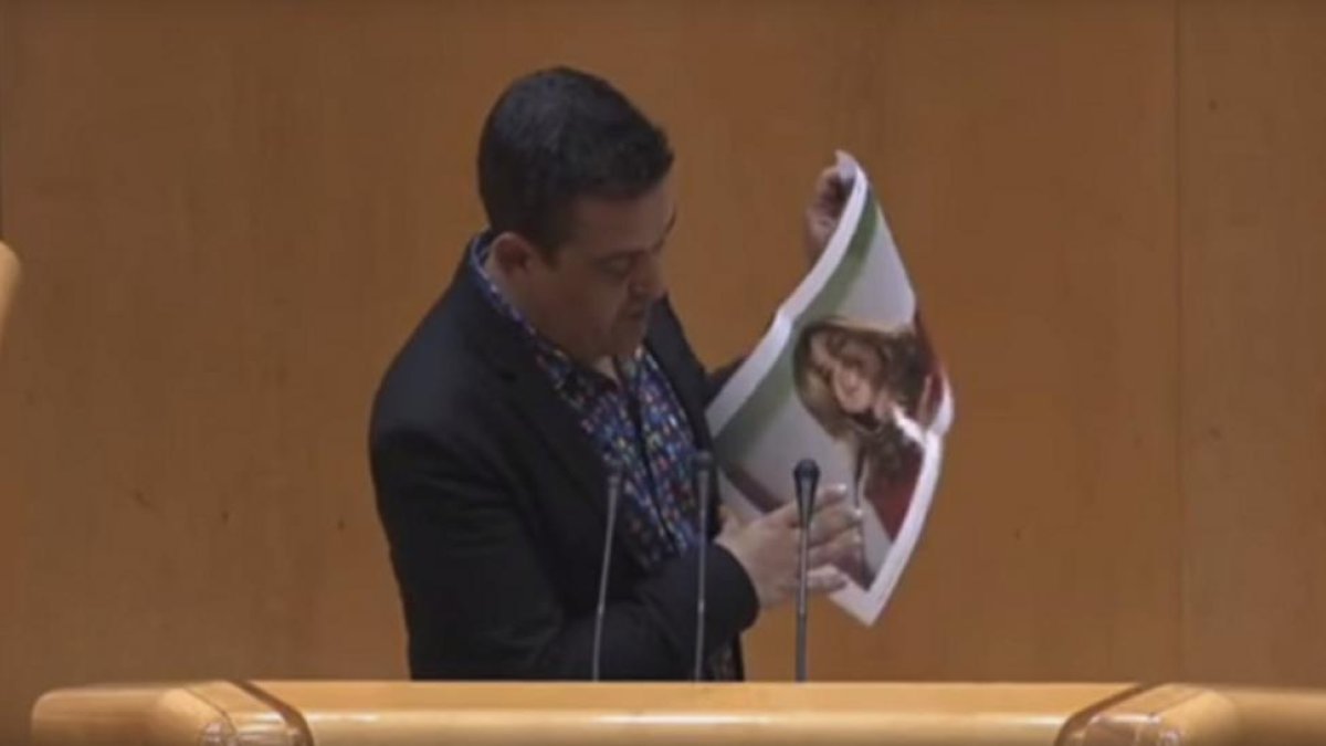 El senador de Compromís, Carles Mulet, durante su intervención en el Senado.-