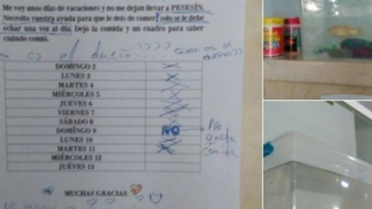 La nota que dejó la dueña de Pesesín y la pecera.-TWITTER