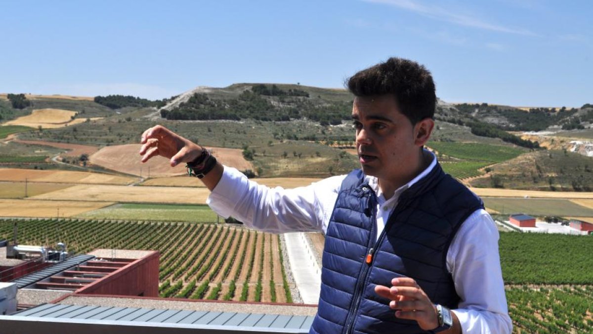 Pedro Ruiz Aragoneses, director de Pago de Carraovejas, explica el viñedo desde el mirador del pago de Cuesta las Liebres.-I. M.
