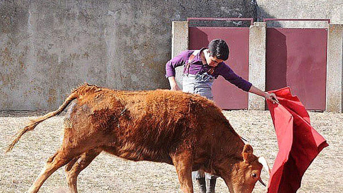 Imagen de 'Jarocho' hijo. ECB